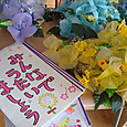 Dsc07984